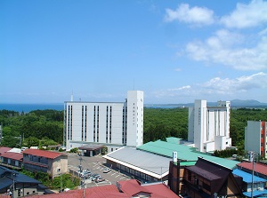 A hotel in Oga hot spring resort