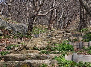 Stairs with 999 steps