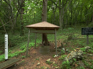An old well near Goshado