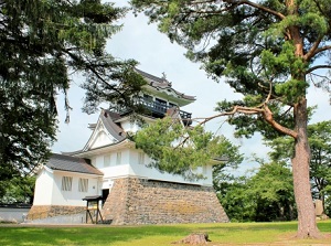 Yokote Castle