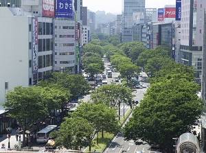 Aoba Avenue