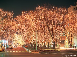 Pagent of Starlight in December at Jozenji Avenue