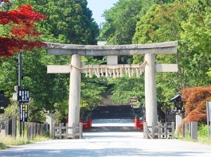 Torii gate at entrance of Toshogu