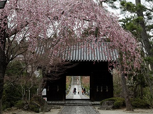 Niomon Gate of Rinnoji