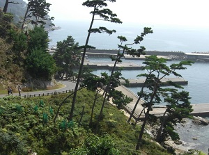 The port and the approach to the shrine in Kinkasan Island