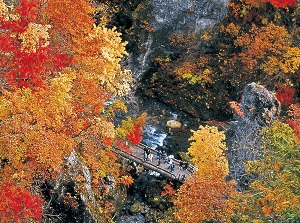 Naruko gorge in autumn