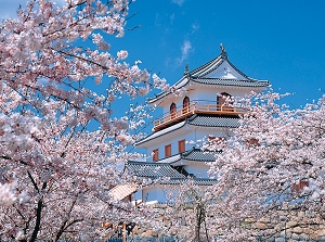 Shiroishi Castle in spring