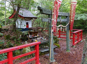 Cat Shrine in Tashirojima