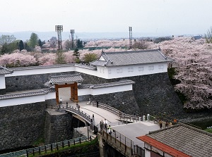 Kajo Park in spring