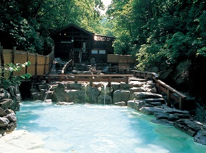Large outdoor hot spring bath