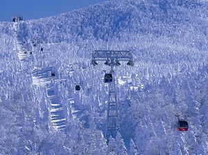 Ropeway over juhyo forest
