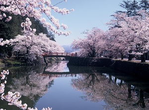 Matsugasaki Park in spring