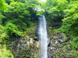 Tamasudare falls