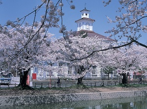 Tsuruoka Park in spring
