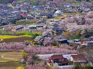 Hanamiyama Park