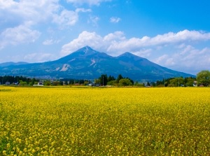 Mount Bandai in spring