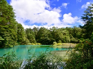 A lake in Goshikinuma
