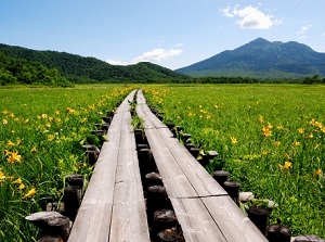 Ozegahara and Mt.Hiuchi