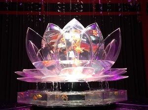 A display in Art Aquarium Museum