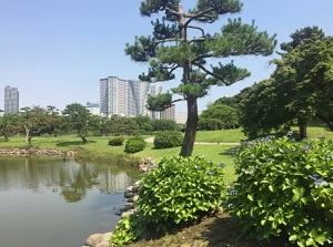 Scenery of Hamarikyu Gardens