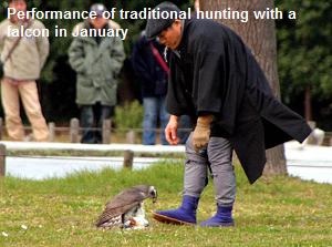 Performance of traditional hunting woth a falcon in Hamarikyu Gardens