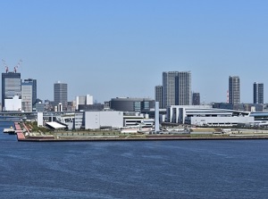 Toyosu Market