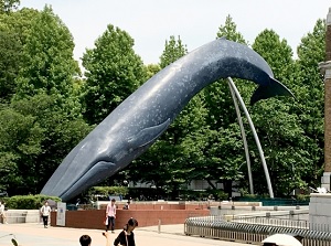 Monument of a whale in real size