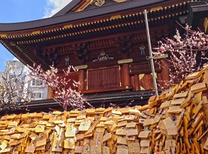 Many Ema (votive horse tablets) praying for success in entrance examinations by students