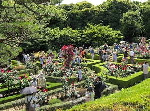 Rose garden in Kyu-Furukawa Gardens