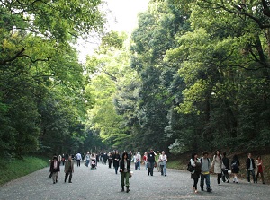 Approach of Meiji Shrine