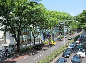 Omotesando street