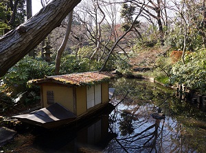 A pond in Nezu Museum