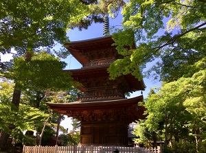 Three-storied pagoda in Gotokuji