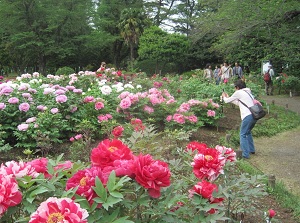 Jindai Botanical Garden