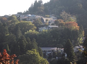 Shrine town of Mount Mitake