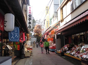 Shrine town along the approach