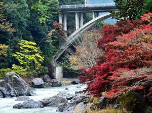 Mitake gorge in autumn