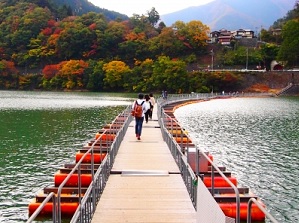 The floating bridge of Mugiyama no Ukihashi