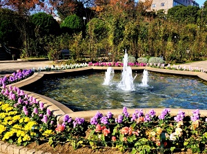 Garden near British House