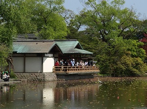 A pond in Tsurugaoka Hachimangu