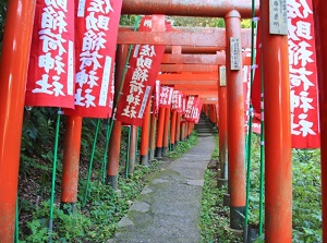 Torii gates of Sasuke-Inari shrine