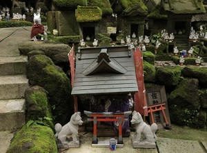 Statues of fox in Sasuke-Inari shrine