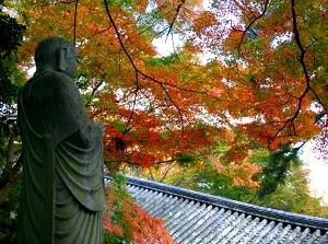 Autumn leaves in Hase-dera