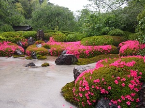 Japanese garden in Meigetsuin