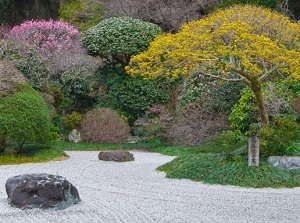 Japanese garden in Hokokuji