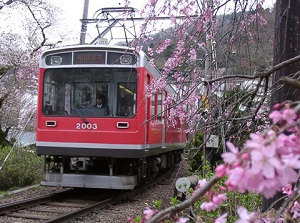 Hakone Tozan Railway