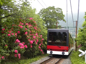 Cable car from Gora