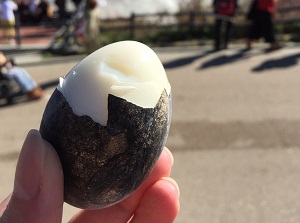 Black egg in Owakudani