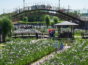 Suigo Itako Ayame Garden