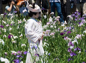 Bride in Suigo Itako Ayame Garden